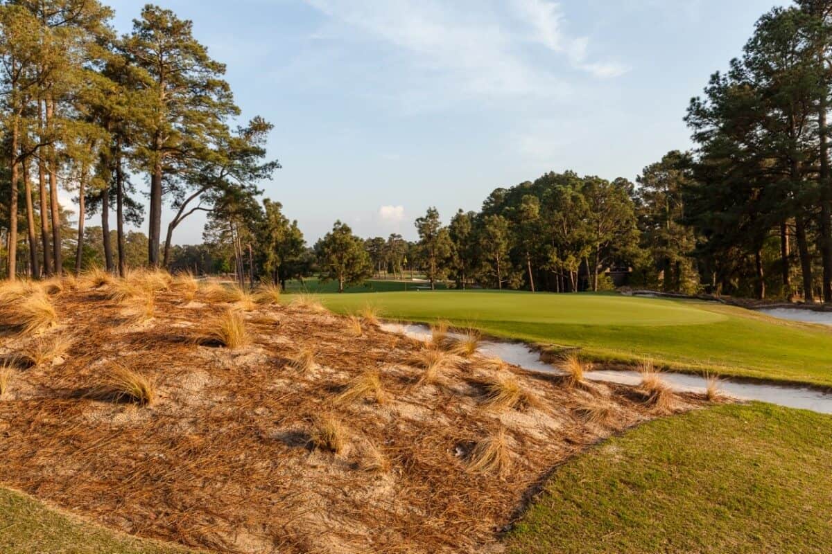 An afternoon round on Pinehurst No. 3 is also the perfect way to sneak in an emergency 18