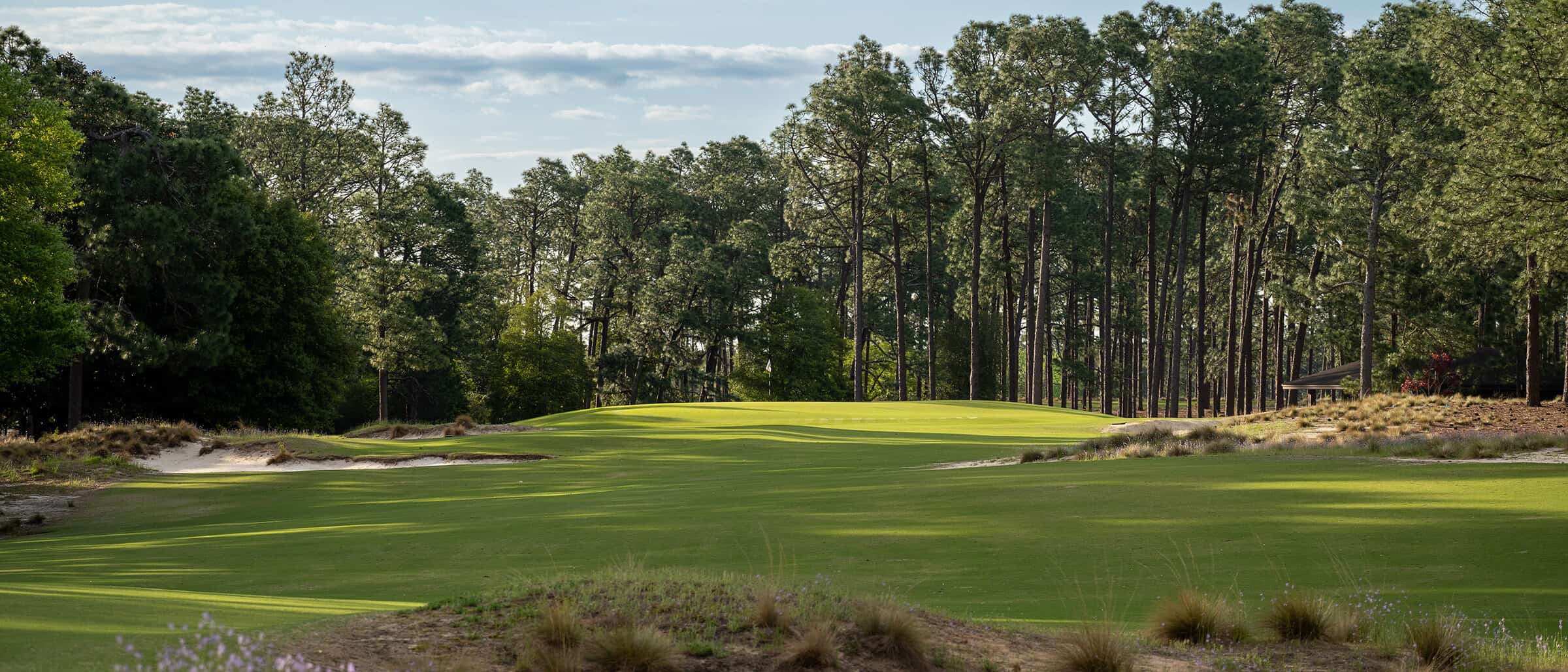 GOLF_C02H08_FAIRWAY_GIBSON_APRIL22 copy