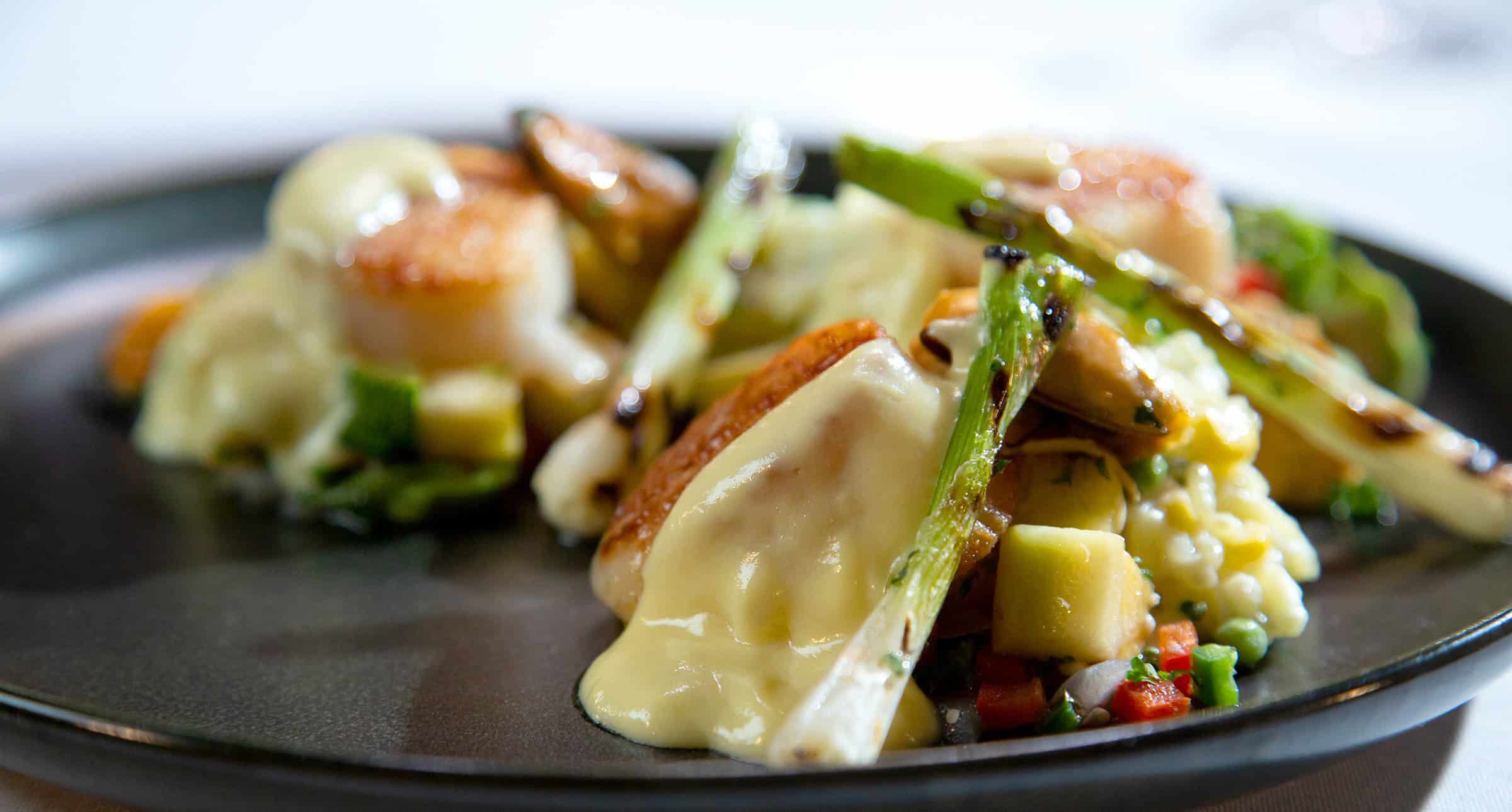 1895 Scallops