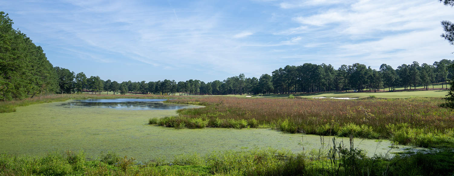 Tom Fazio designed Pinehurst No 8 golf course at Pinehurst Resort to celebrate Pinehurst centennial