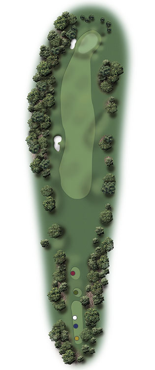 course-5-hole-17-illustraion