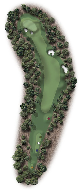 course-6-hole-12-illustration