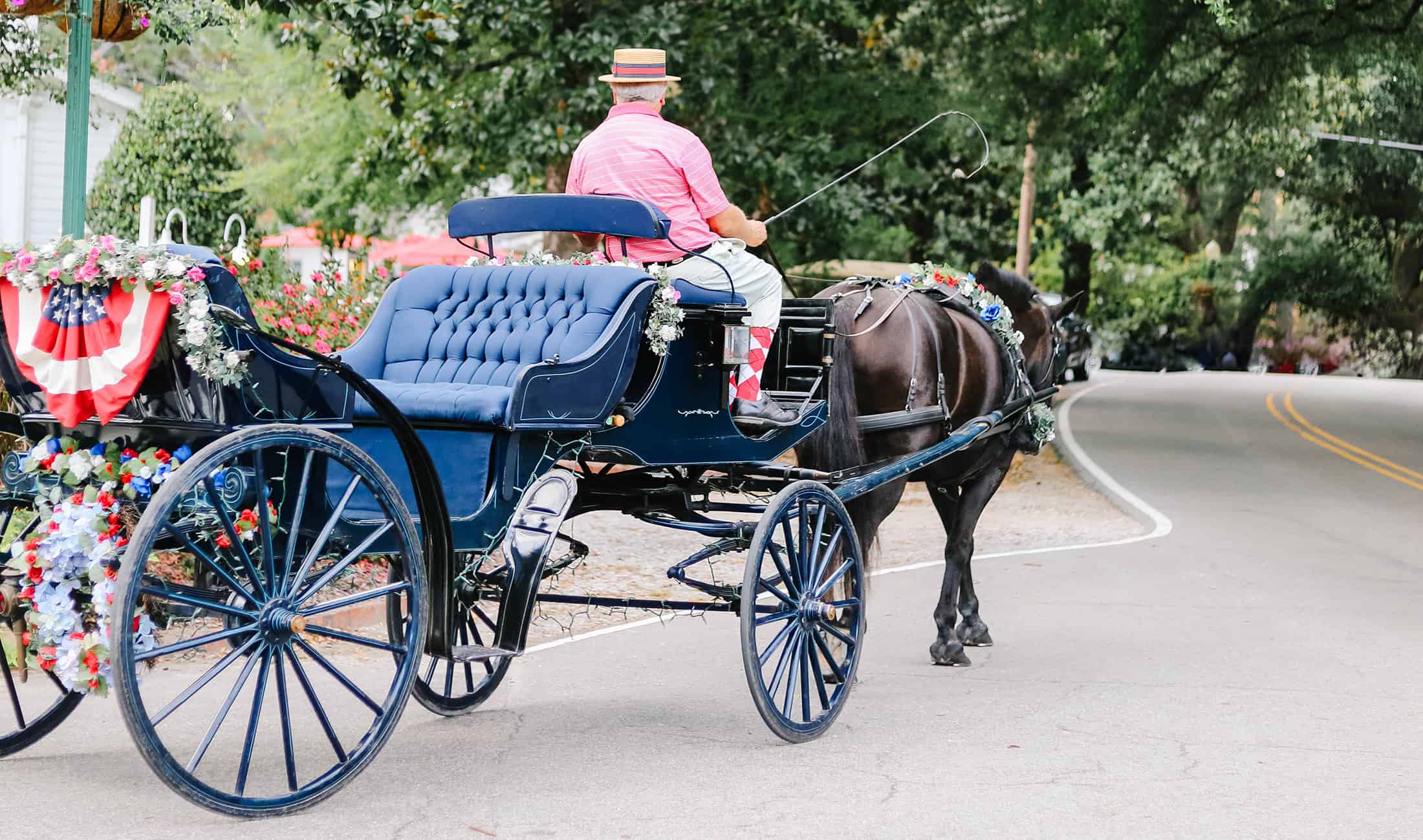 Carriage Ride