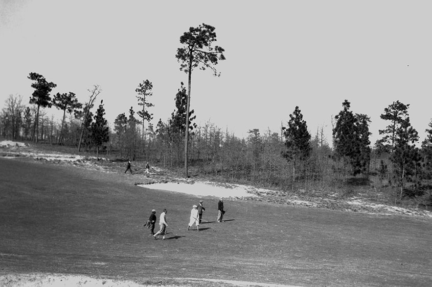 Pasture to Pinehurst image 3