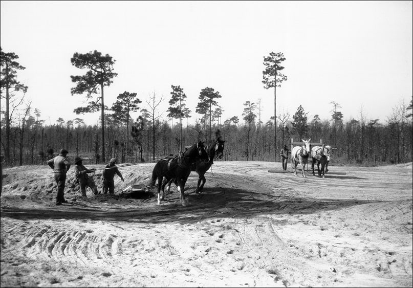 Pasture to Pinehurst image 4