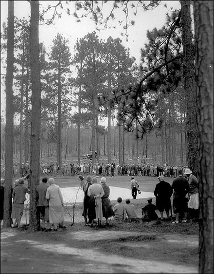 Pasture to Pinehurst image 7