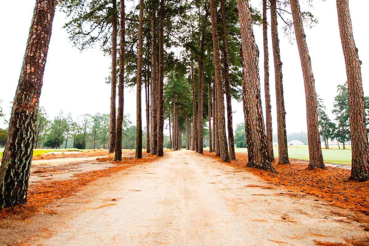 Sandy cart path at Pinehurst