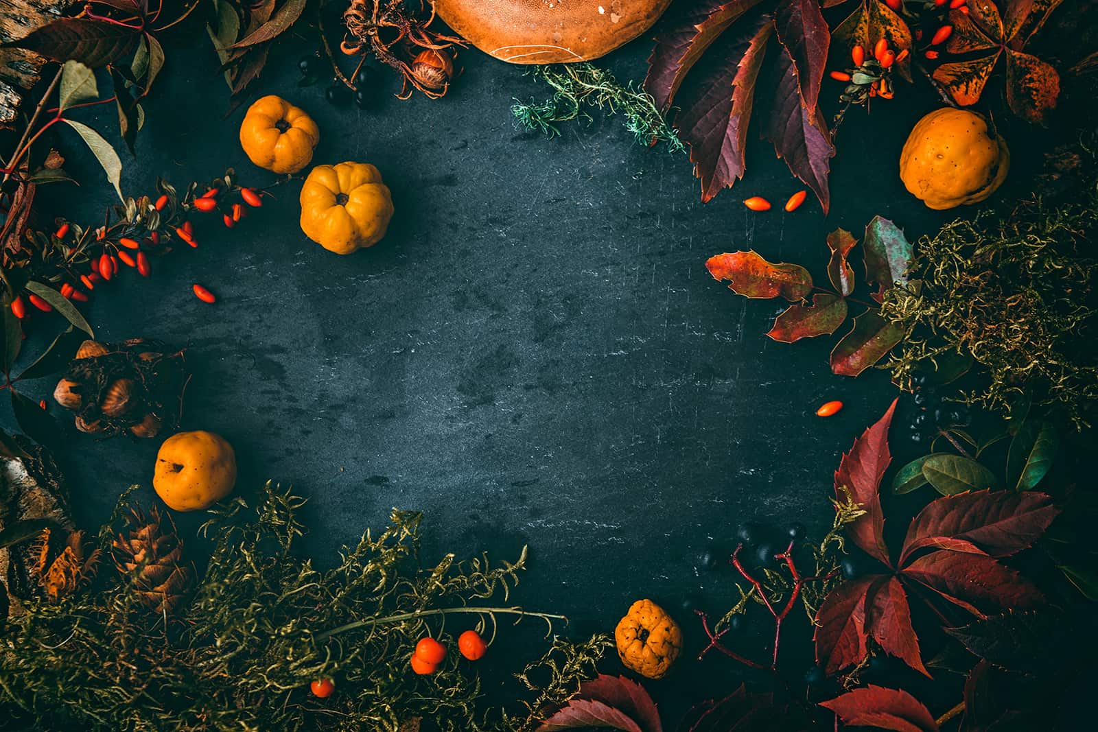 Thanksgiving