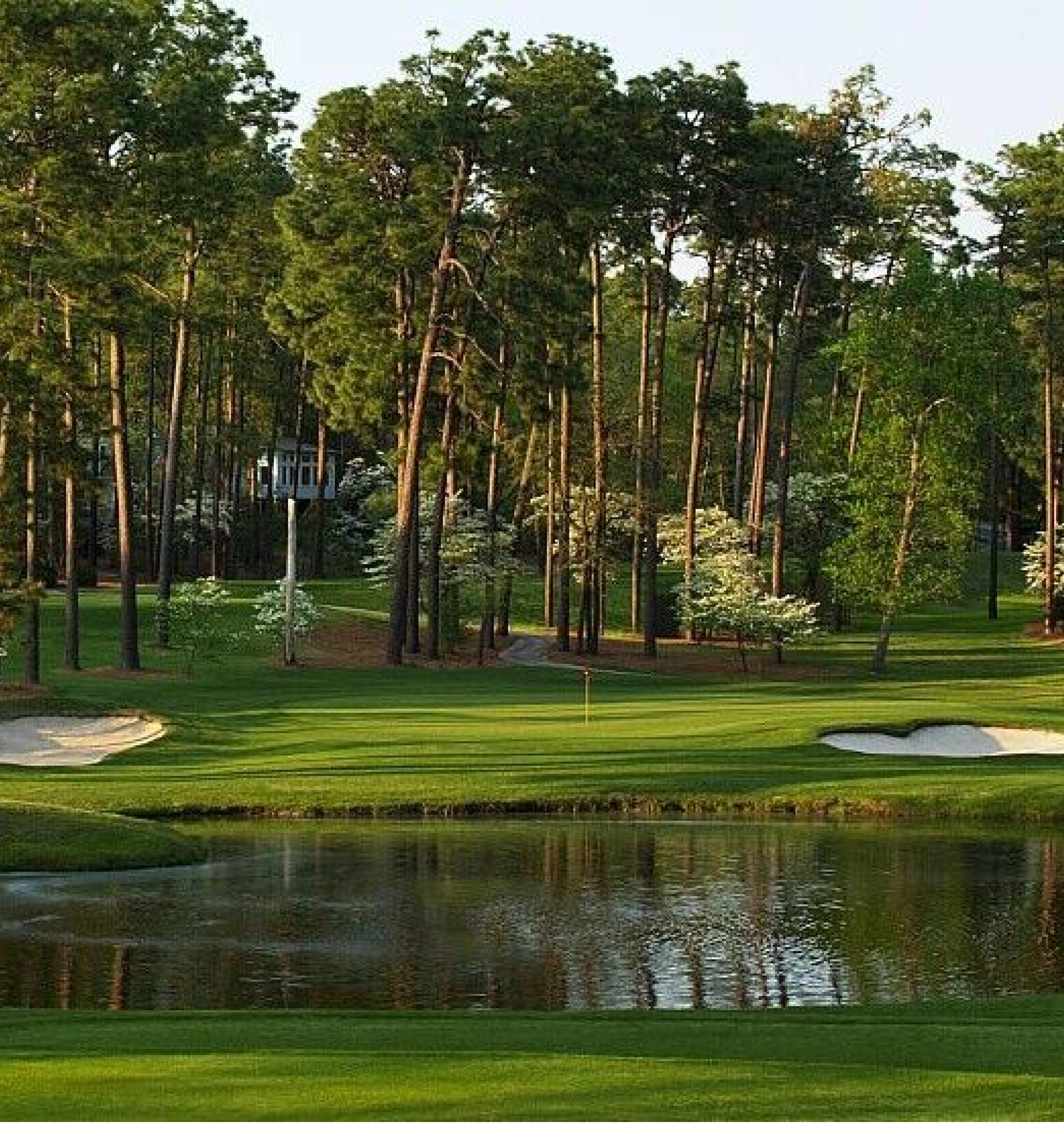 course-bg-no-5