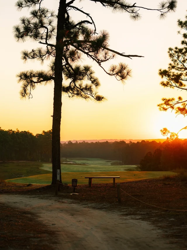 “When you’re teeing off 10, you’re above the trees and you have these long range views that are just out of this word and I don’t think you have that very often here in Pinehurst.” - @mosergolf 

Pinehurst No. 10 • Hole 10 • 634 yard Par 5 •