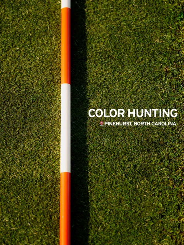 Color Hunting • Pinehurst Edition