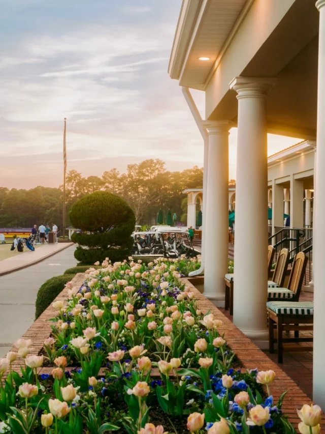 Social team took too many spring photos so you get a second carousel to celebrate the First Day of Spring 🌺

📸 @leahmrubyphoto // @mattwugibson