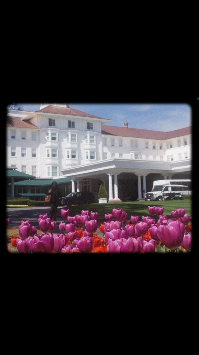 Springtime in Pinehurst >>>