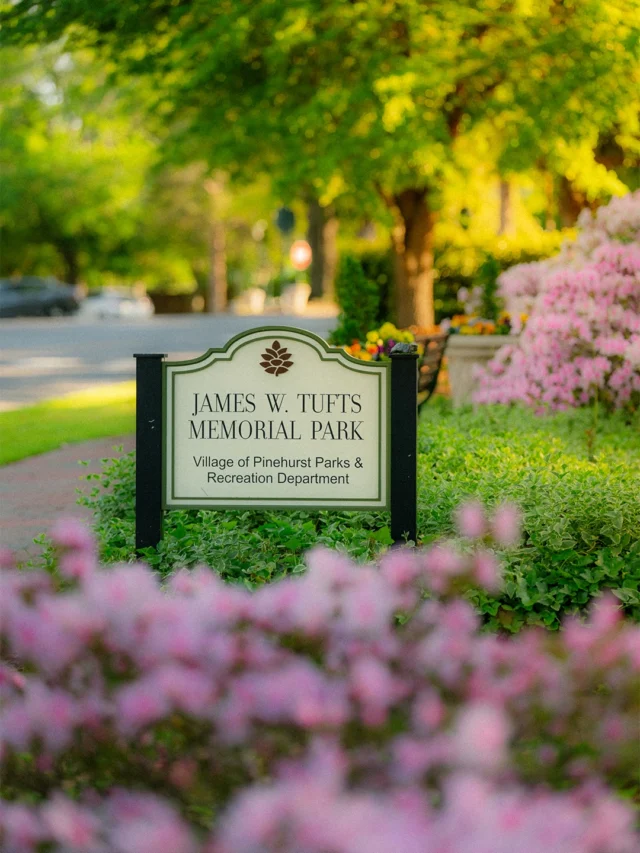 The colors of spring continue around the village • @vopnc