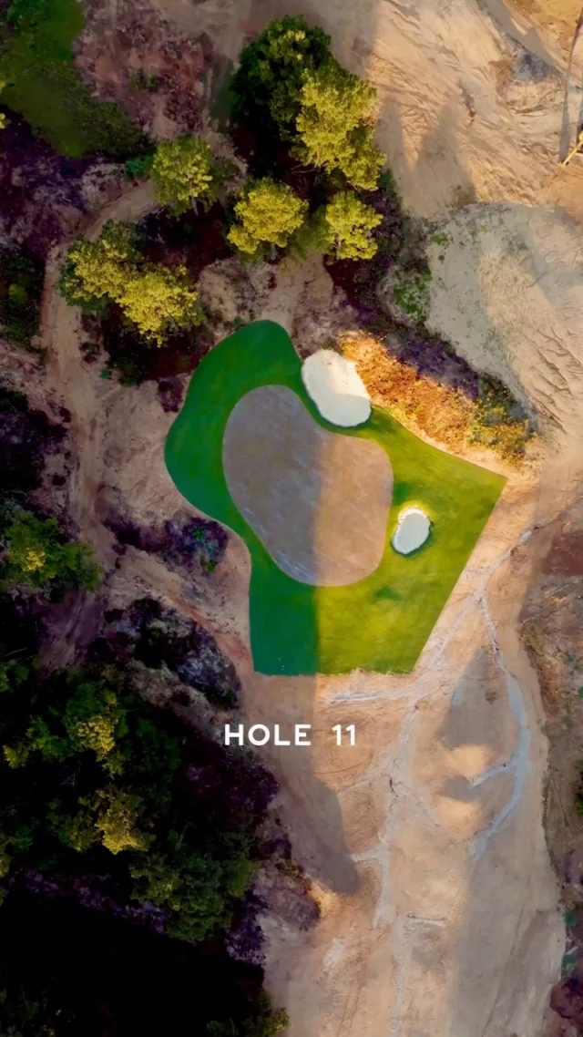 18 greens have been sprigged on Pinehurst No. 11