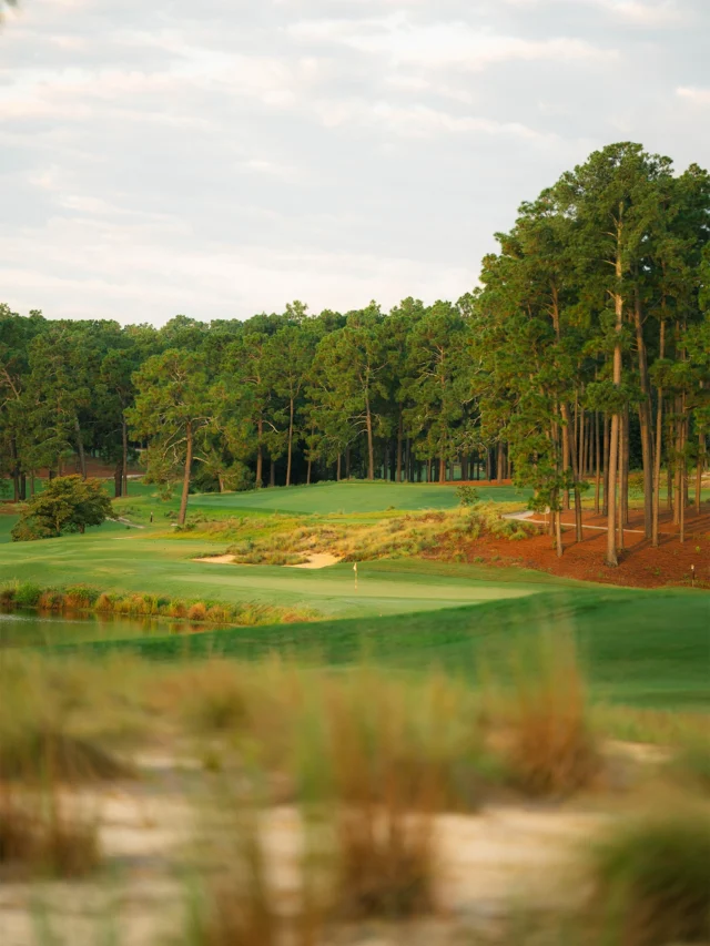 A walk around Pinehurst No. 4