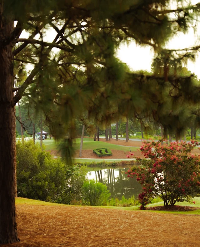 A summer morning on Pinehurst No. 7