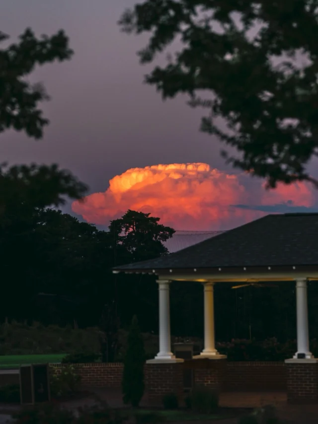 Nothing quite like blue hour in Pinehurst